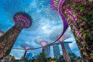 Singapore tax news